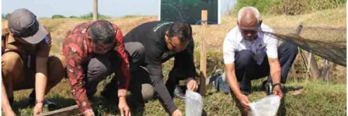 KKP Luncurkan Proyek Percontohan Tambak Udang Tradisional Plus